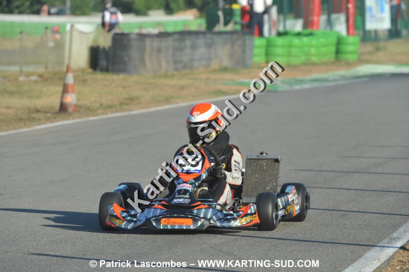 DSC_ (1304).JPG